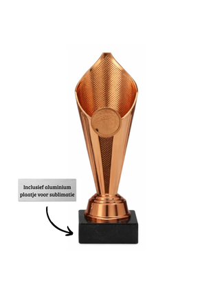 Bronzen Kunststof Trofee – Klassieke Sportprijs