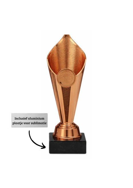 Bronzen Kunststof Trofee – Klassieke Sportprijs